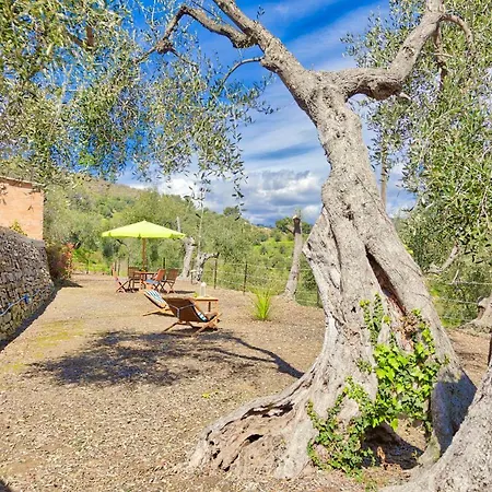 Casa Mara - Diano Serreta Feriehus Diano Marina