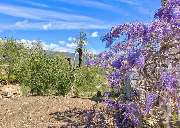 Casa Mara - Diano Serreta 度假居